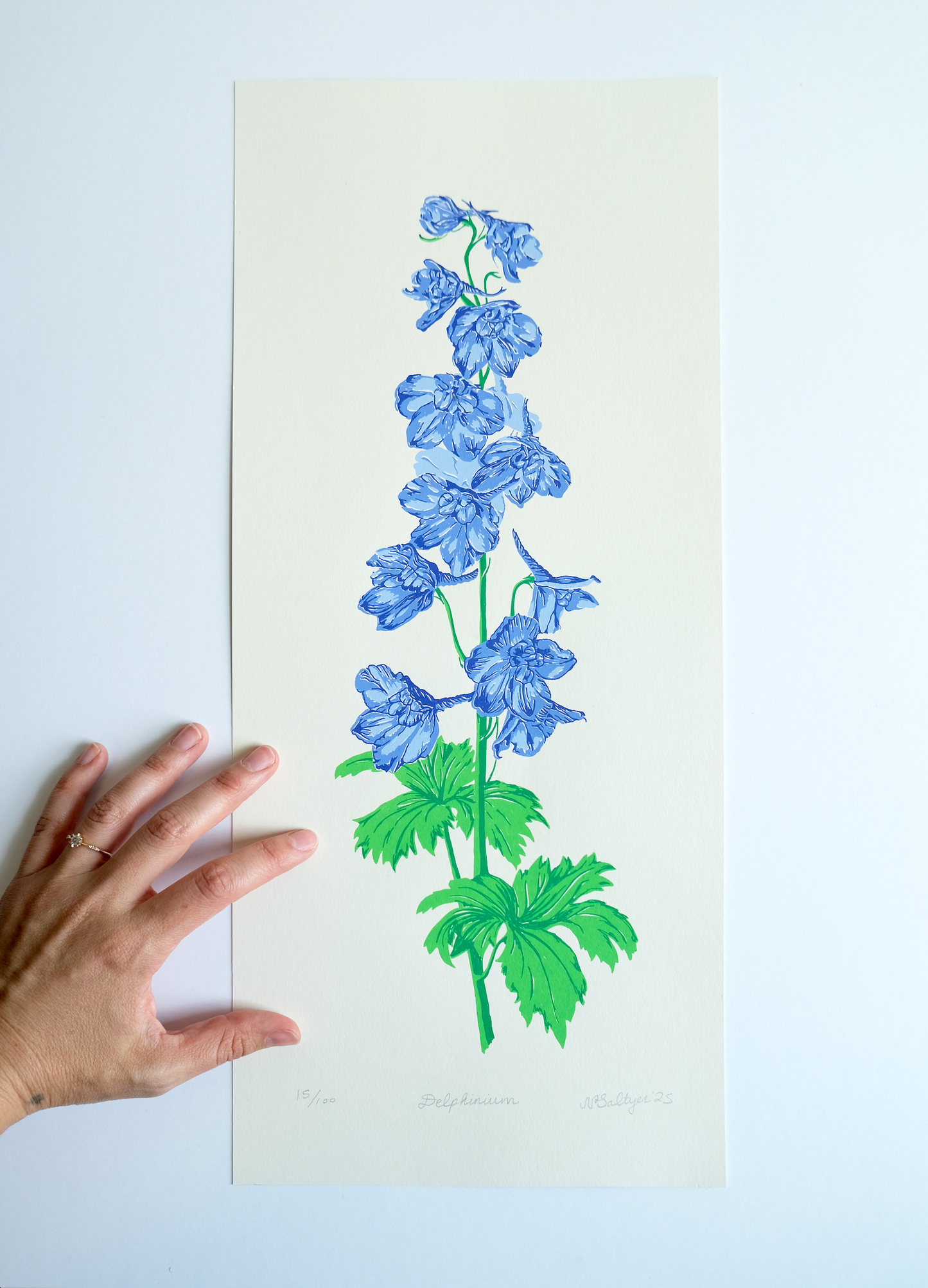 Delphinium Screen Print
