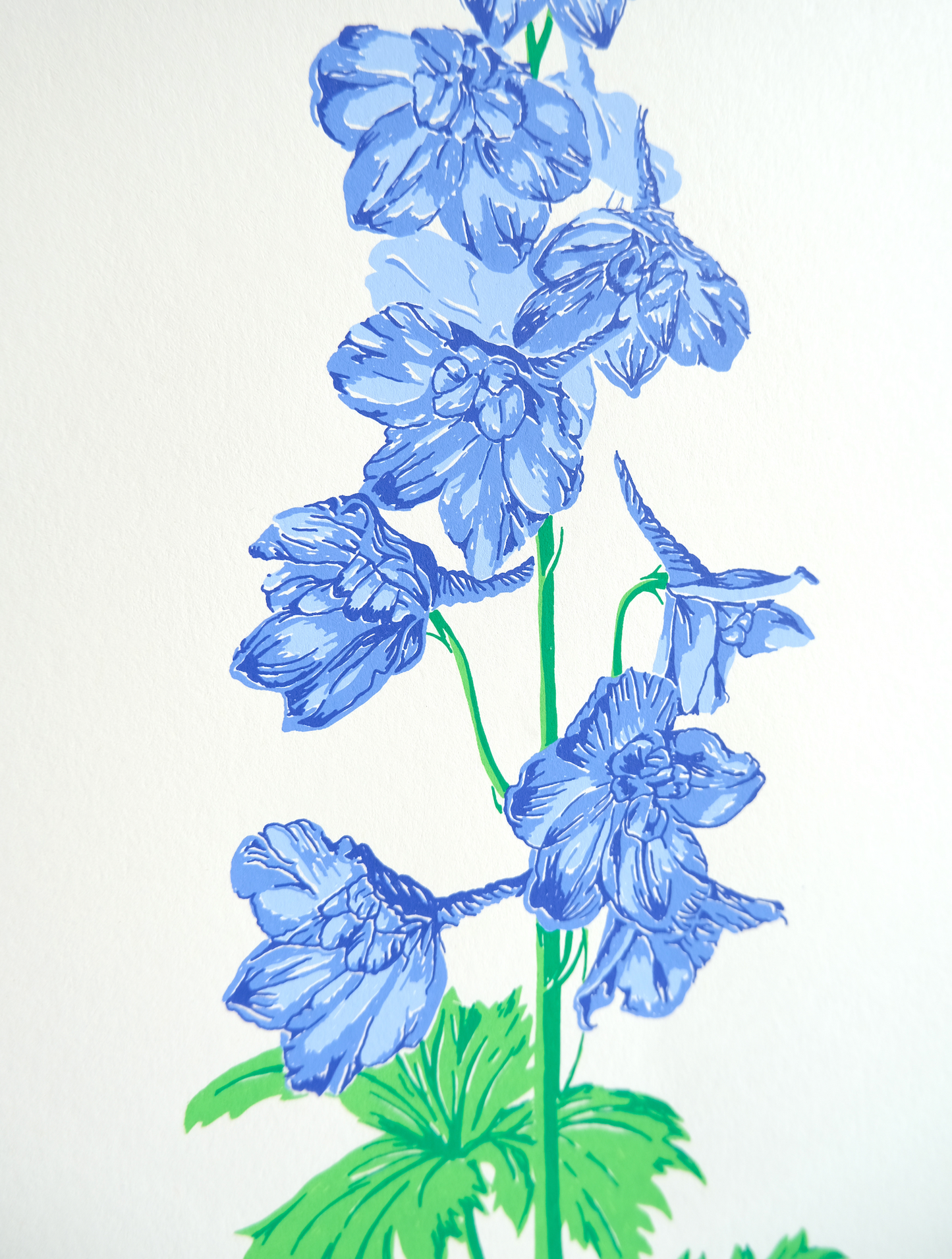 Delphinium Screen Print