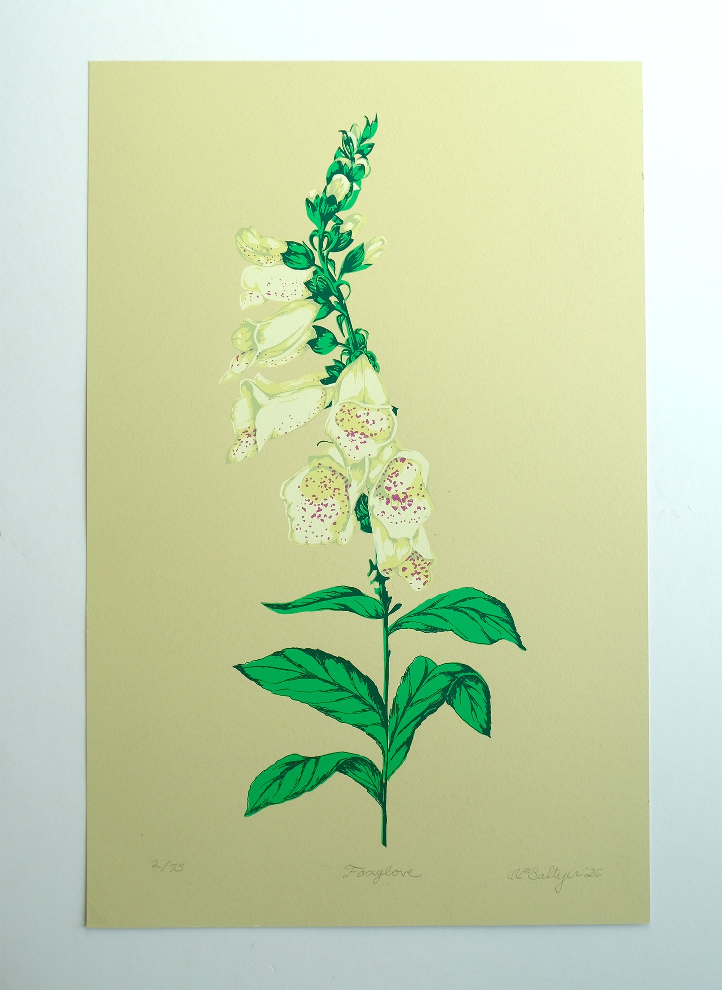 Foxglove Screen Print - Limited Edition