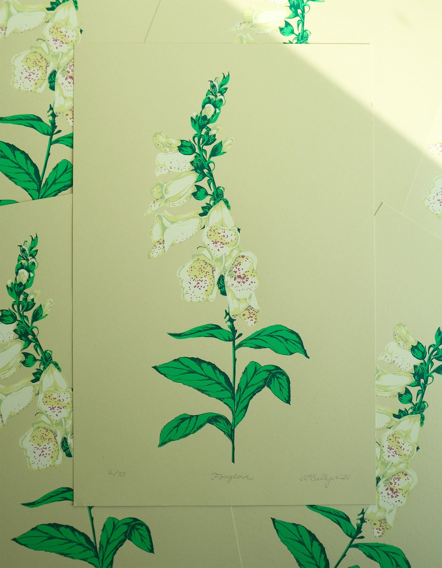 Foxglove Screen Print - Limited Edition