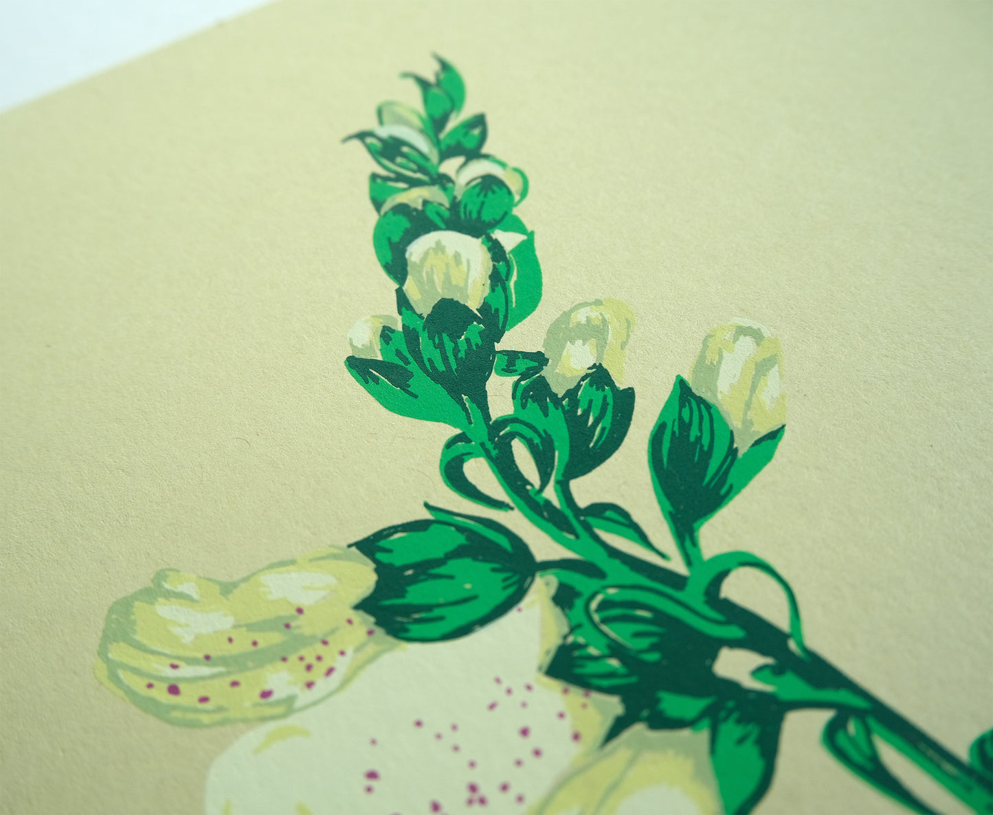 Foxglove Screen Print - Limited Edition