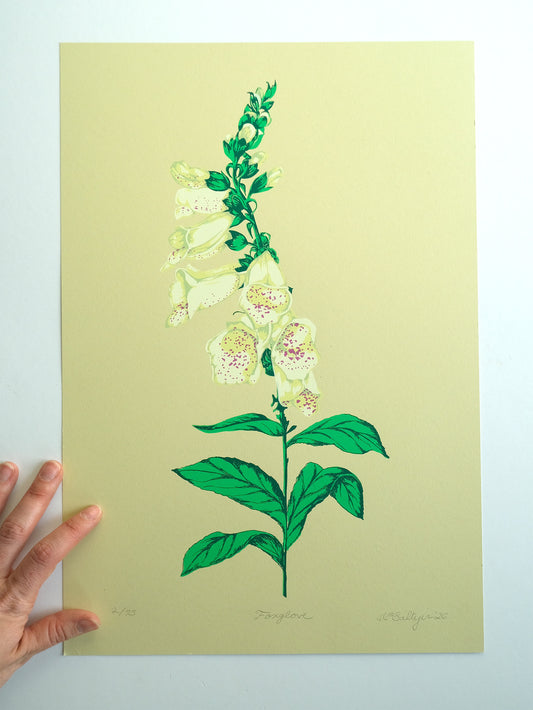 Foxglove Screen Print