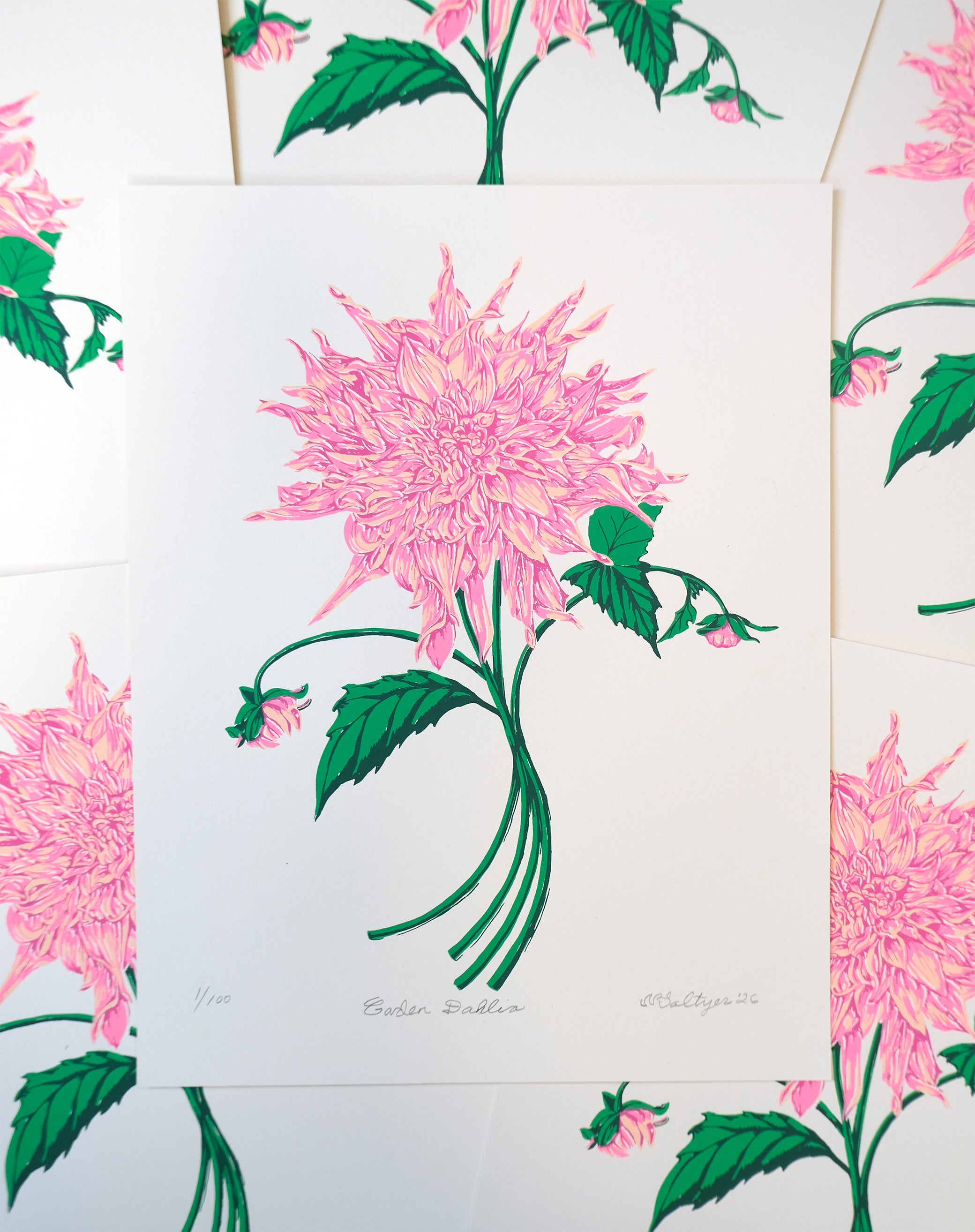 Garden Dahlia Screen Print – Sparkwell Press